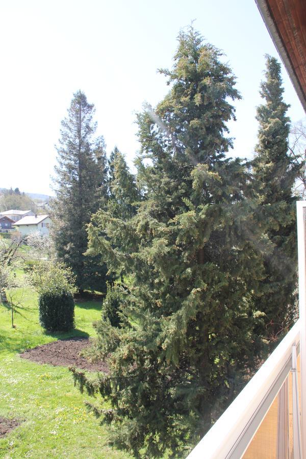 Hotel Restaurant Le Panorama Neuvecelle Luaran gambar